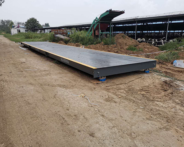 電子衡器基礎(chǔ)知識